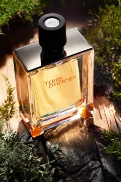 Terre D’hermes For Men By Hermes